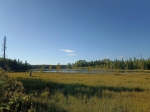 Без подписи