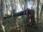 Без подписи