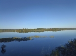 Без подписи