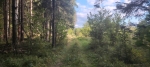 Иногда есть дороги