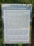 Без подписи