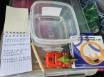 Без подписи