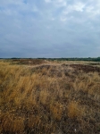 Без подписи