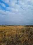 Без подписи