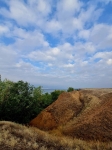 Без подписи