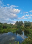 Без подписи