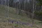 Без подписи