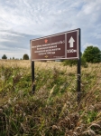 Без подписи