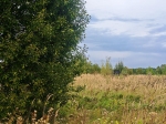 Без подписи