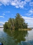 Без подписи
