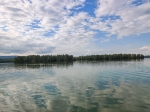 Без подписи