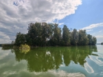 Без подписи