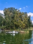Без подписи