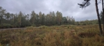 Без подписи