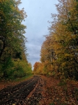 Без подписи