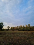 Без подписи