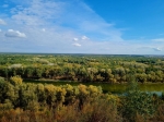 Без подписи