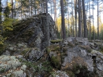 Без подписи