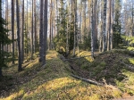 Без подписи