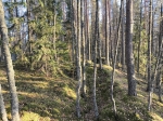 Без подписи