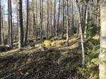 Без подписи