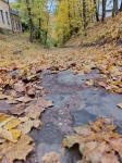 Без подписи
