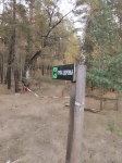 Без подписи