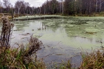 Без подписи