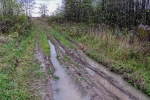 Без подписи