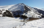 Без подписи