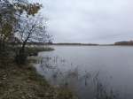 Без подписи