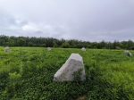 Без подписи