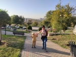 Без подписи