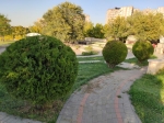 Без подписи