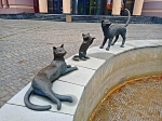 Благодарные котики