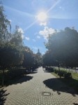 Без подписи