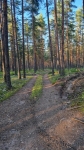 Без подписи