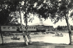 1966 год