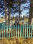 Без подписи