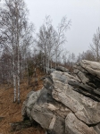 Без подписи