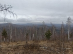 Без подписи