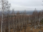 Без подписи
