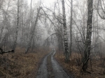 Без подписи