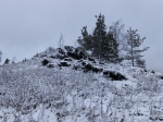 Без подписи