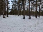 Без подписи