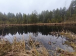 Без подписи