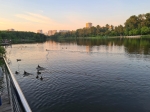 Без подписи