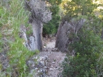Без подписи
