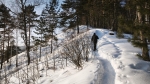 Без подписи