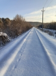 Без подписи